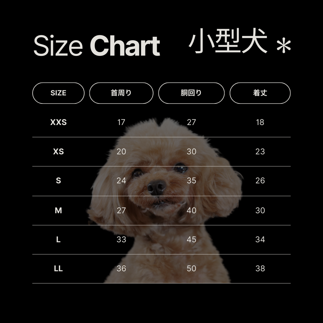 【限定】トップス edition_BLUE-DENIMフリル_prêt-à-porter