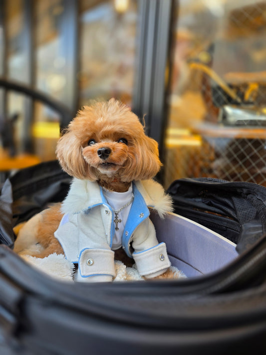 【限定】Luxuryコートedition WHITE_prêt-à-porter