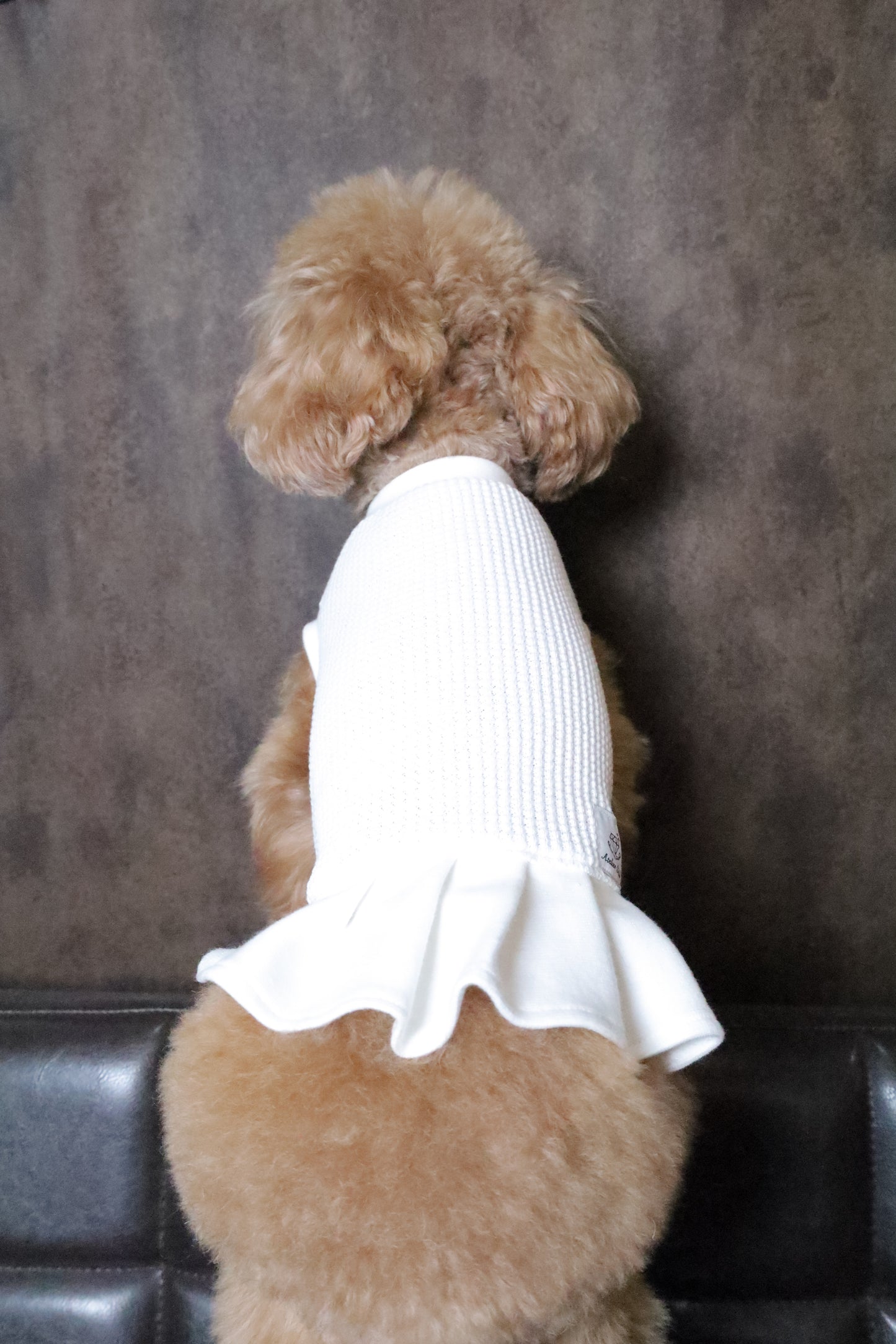 ワンピース edition_WHITE(ホワイト)_prêt-à-porter