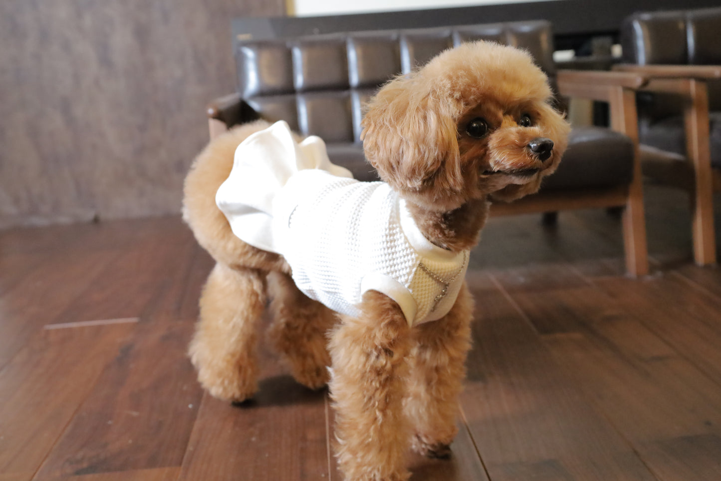 ワンピース edition_WHITE(ホワイト)_prêt-à-porter