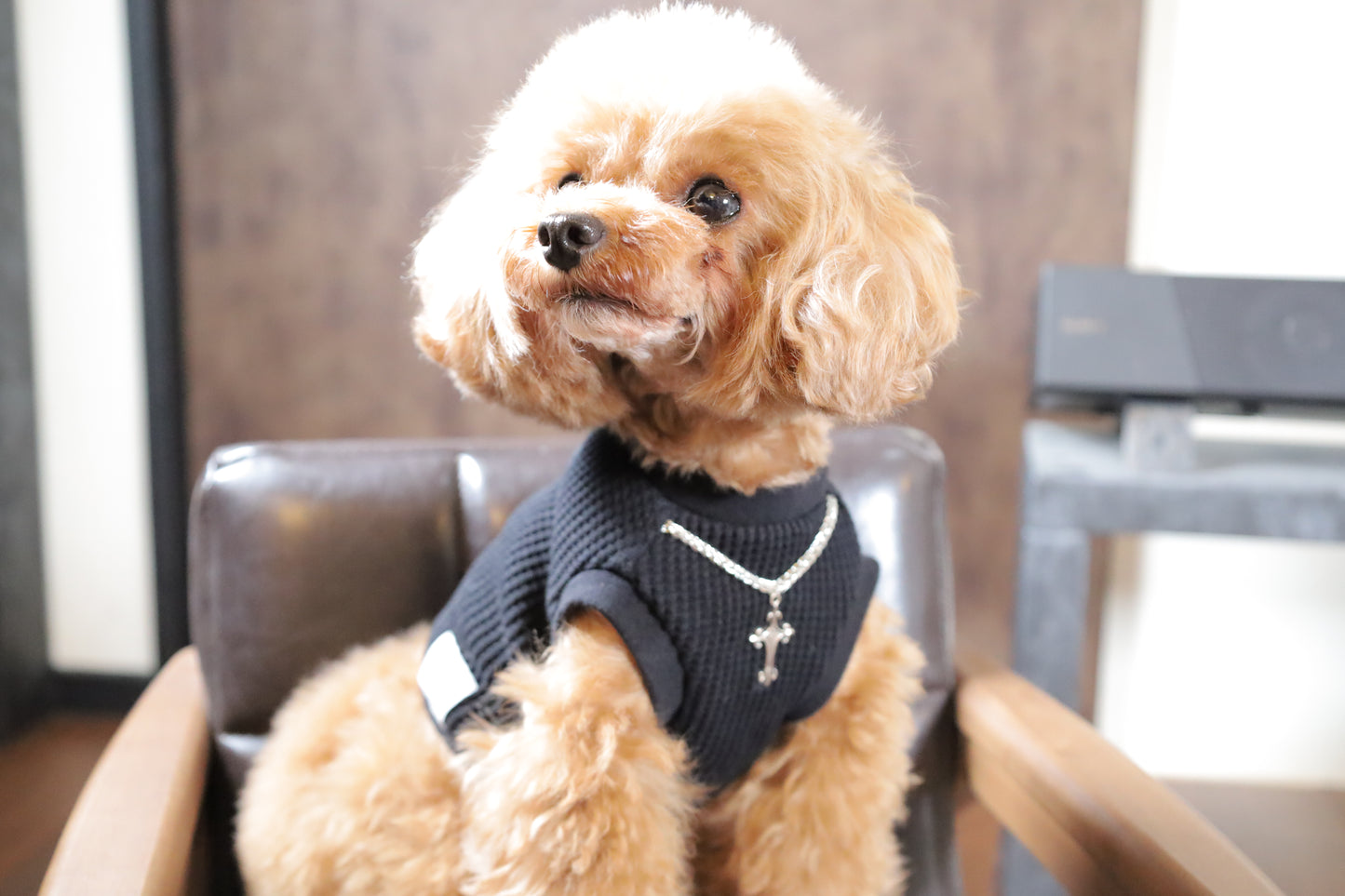 トップス edition_BLACK(ブラック)_prêt-à-porter
