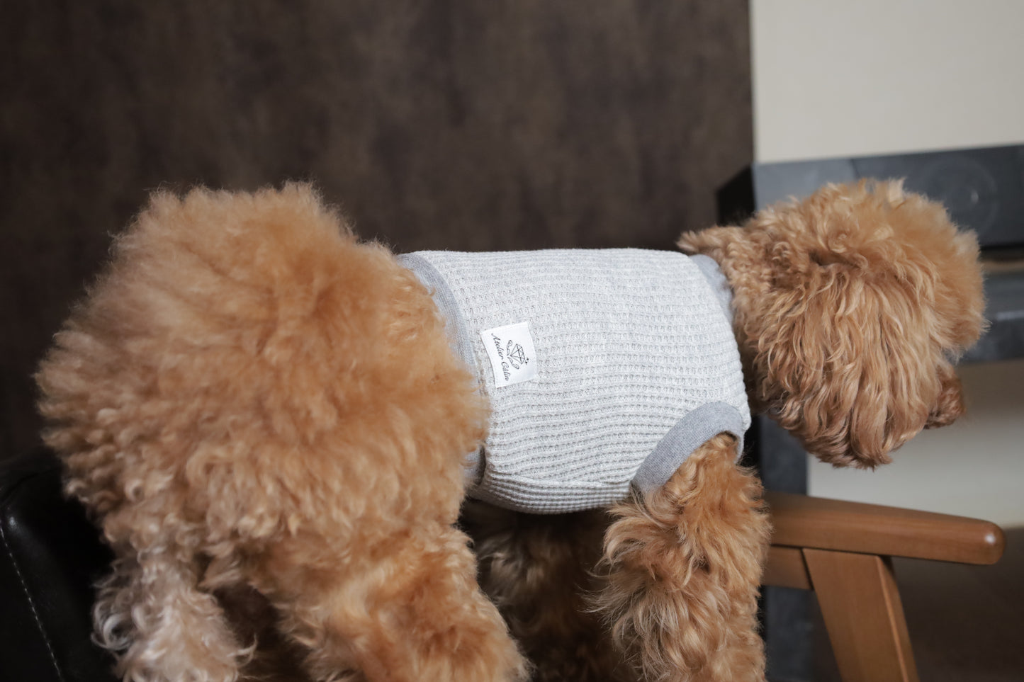 トップス edition_GRAY(グレー)_prêt-à-porter