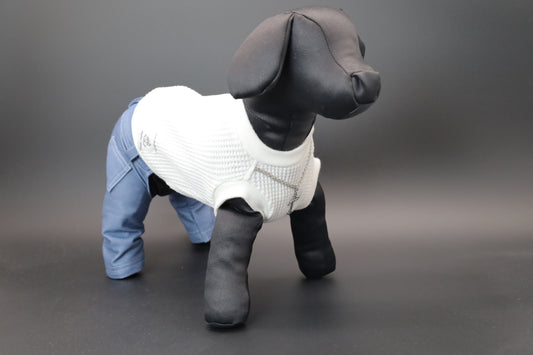 【限定】Luxuryパンツstyle edition_BLUE-DENIMパンツ_sizeorder