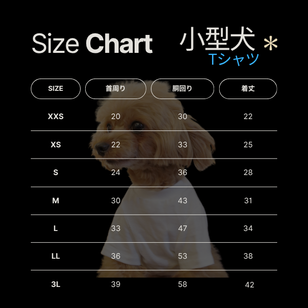 Tシャツ_edition_レザークロス_prêt-à-porter