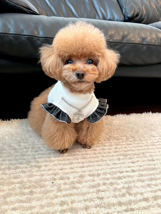 Luxuryトップス edition_WHITE&DENIMフリル_sizeorder