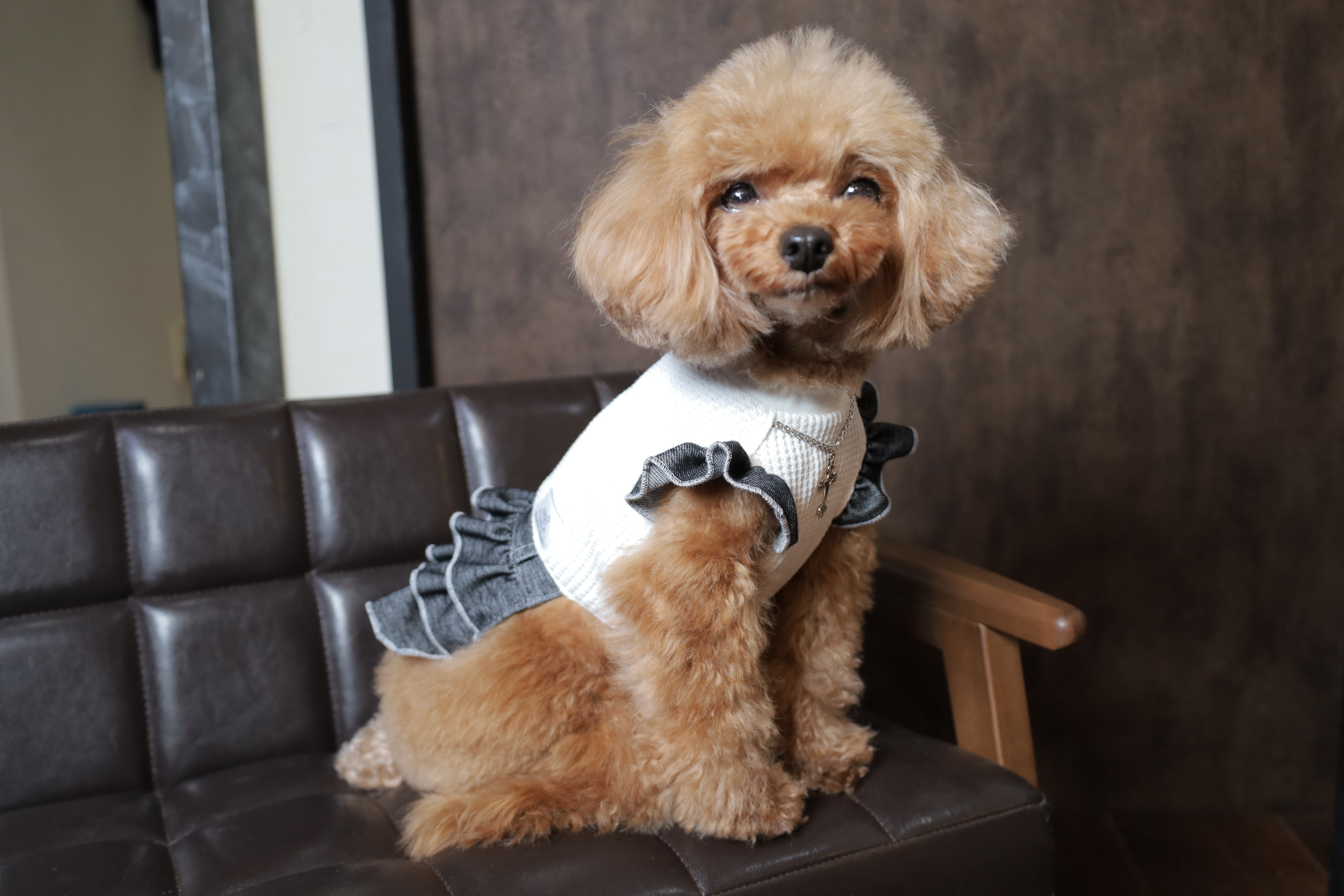 【オーダーページ】犬服　ミルクティーベージュ暖か起毛のバルーンワンピース オーダーページ】犬服 ミルクティーベージュ暖か起毛のバルーン