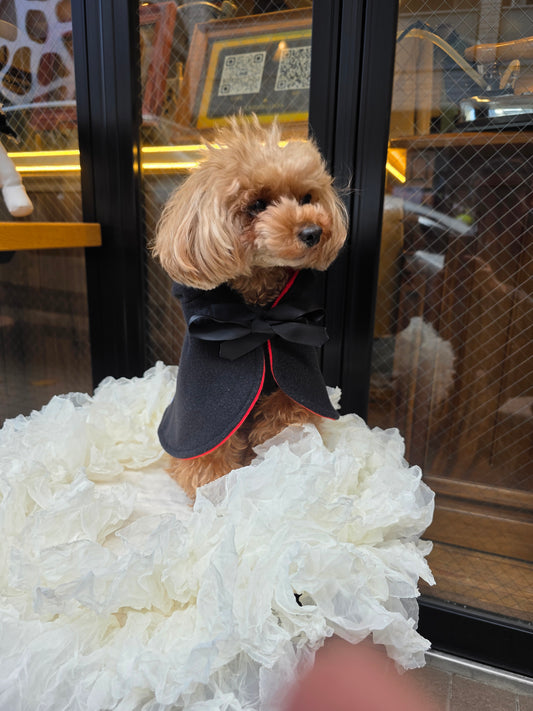 【限定】Luxuryポンチョ edition BLACK＿prêt-à-porter