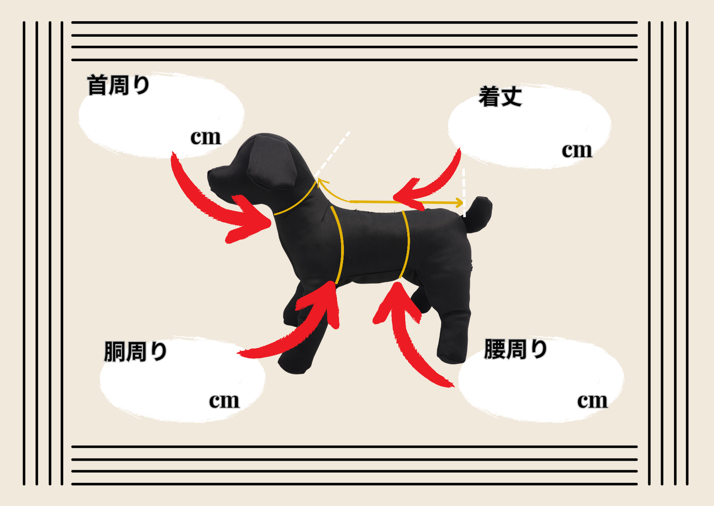 Atelier Câlin　ギフト＿GIFT EXPRESS