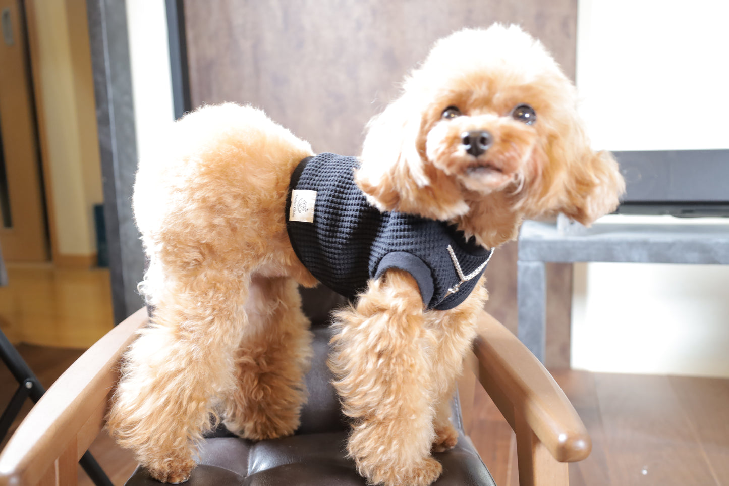 トップス　edition_BLACK（ブラック）＿prêt-à-porter