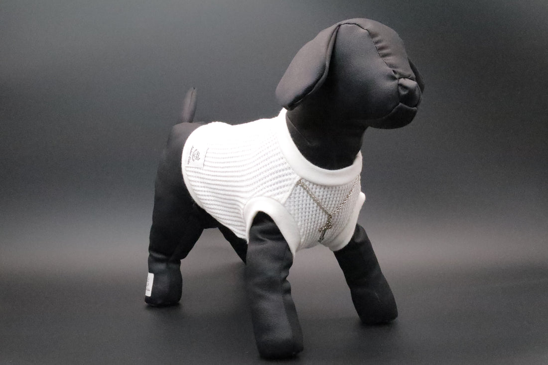 愛犬のためのオーダーメイドドレス