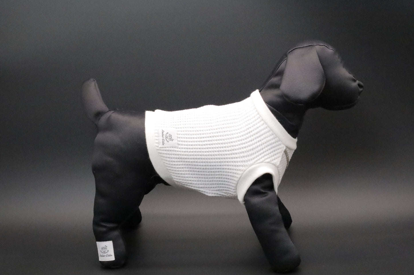 トップス　edition_WHITE（ホワイト）＿prêt-à-porter