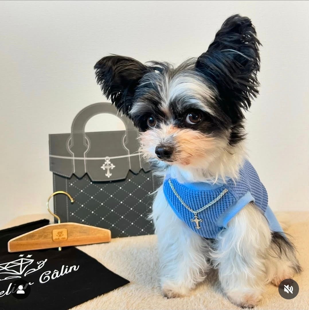 Atelier Câlin 良質な犬服（WANドレス）で飼主様とワンちゃんに