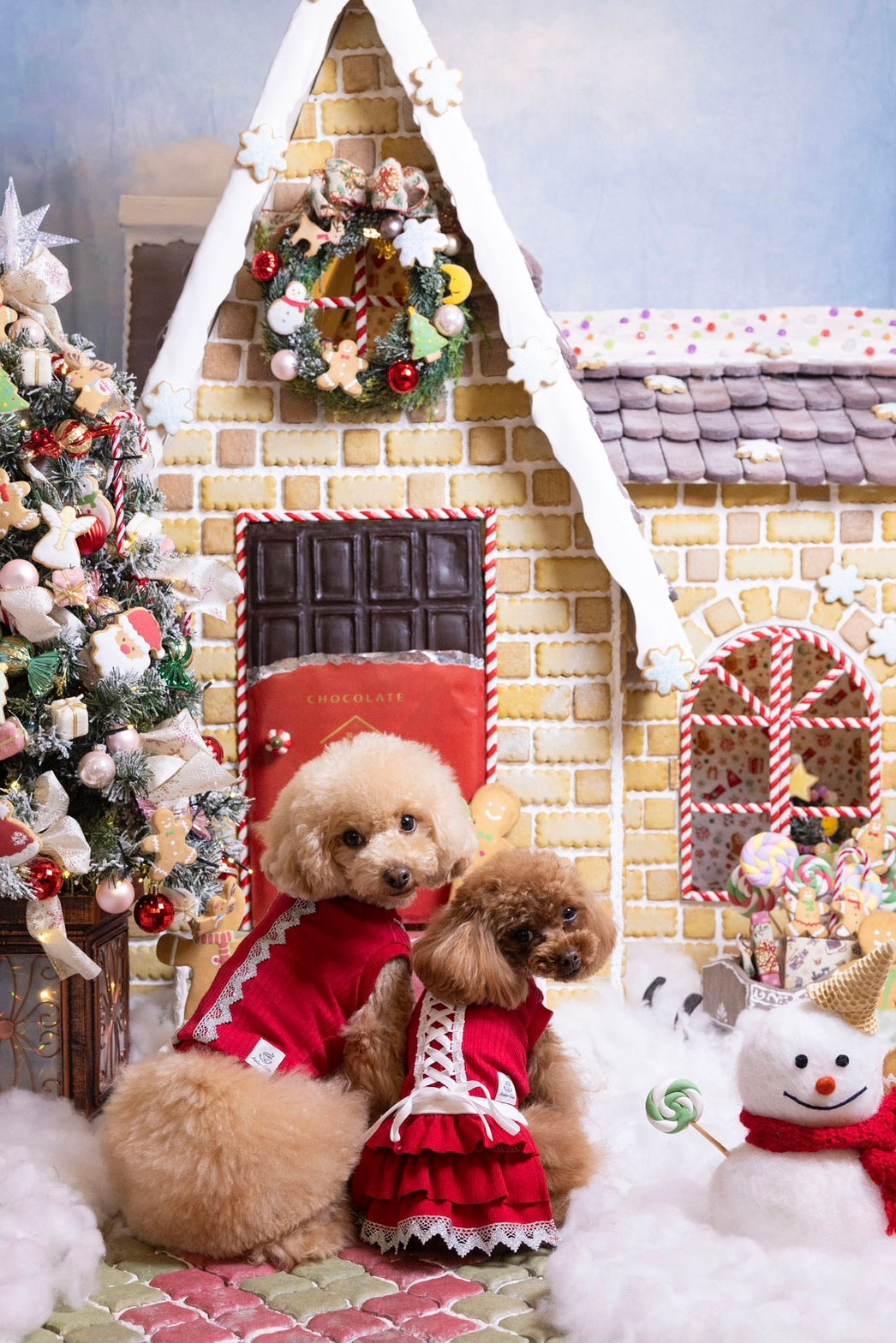 Atelier Câlin 良質な犬服（WANドレス）で飼主様とワンちゃんに豊かな