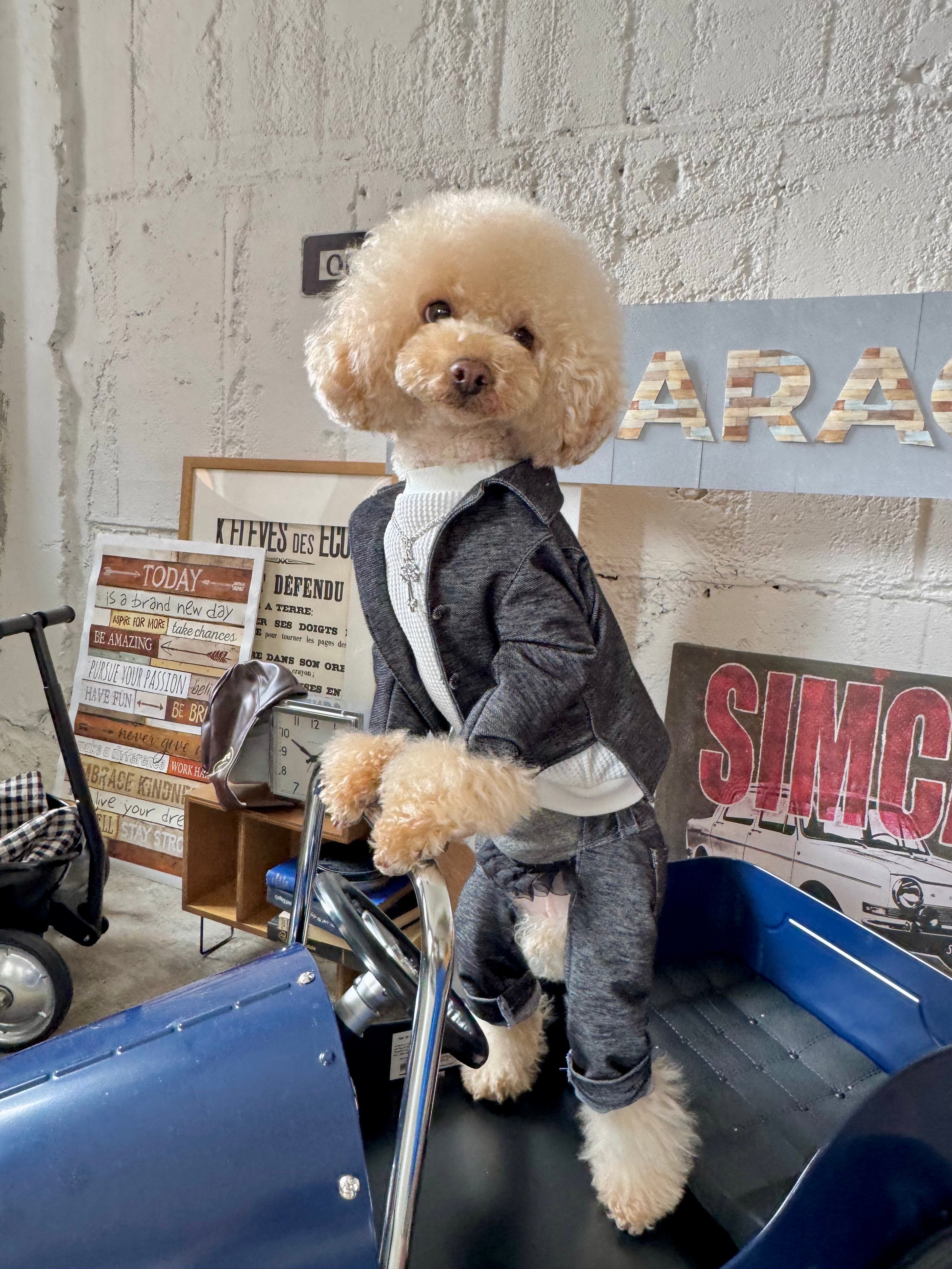 Atelier Câlin 良質な犬服（WANドレス）で飼主様とワンちゃんに