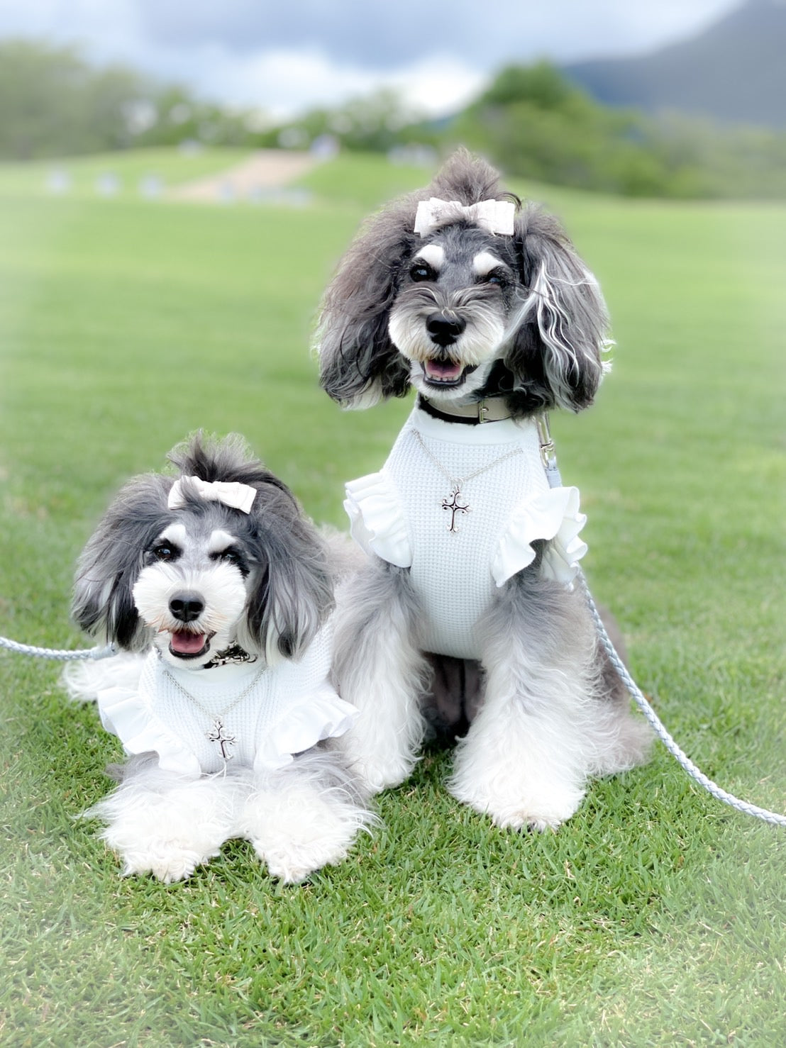 Luxuryトップス　edition_WHITE＋WHITEフリル＿